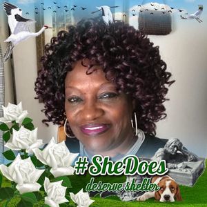 Meet your Posher, Bobbie